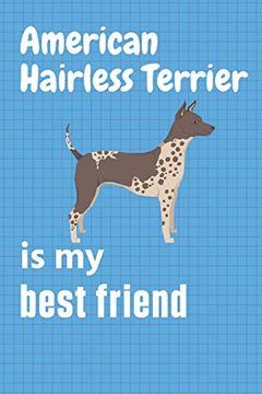 portada American Hairless Terrier is my Best Friend: For American Hairless Terrier dog Fans (en Inglés)