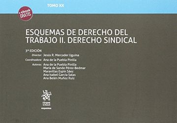 portada Tomo XX Esquemas de Derecho del Trabajo II. Derecho Sindical 3ª Edición 2017