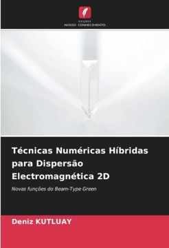 portada Técnicas Numéricas Híbridas Para Dispersão Electromagnética 2d: Novas Funções do Beam-Type Green