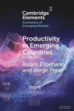 portada Productivity in Emerging Countries: Methodology and Firm-Level Analysis Based on International Enterprise Business Surveys (Elements in the Economics of Emerging Markets) (en Inglés)