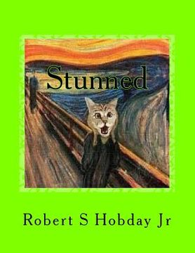 portada Stunned: A Collection of Stunned Cats (en Inglés)