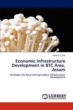 portada economic infrastructure development in btc area, assam (en Inglés)