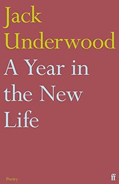 portada A Year in the New Life (en Inglés)