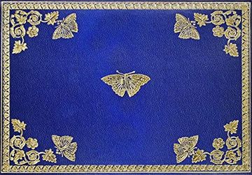 portada Gilded Butterflies Note Cards (14 Cards, 15 Self-Sealing Envelopes) (en Inglés)