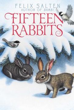 portada Fifteen Rabbits