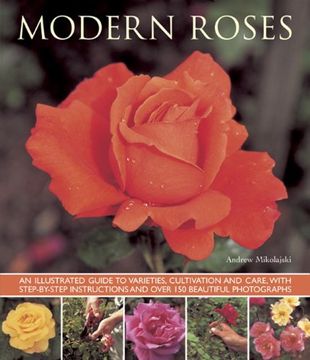 portada Modern Roses