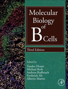 portada Molecular Biology of b Cells (in English)