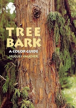 portada tree bark: a color guide