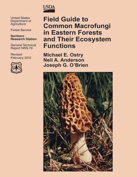portada Field Guide to Common Macrofungi in Eastern Forests and Their Ecosystem Functions (in English)