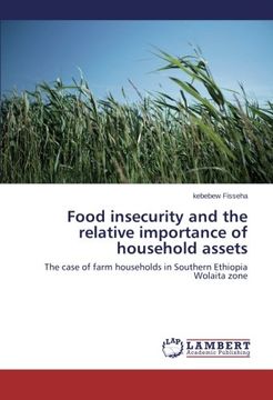 portada Food insecurity and the relative importance of household assets