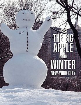 portada big apple in the winter (en Inglés)