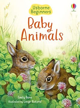 portada Baby Animals (Beginners) (en Inglés)