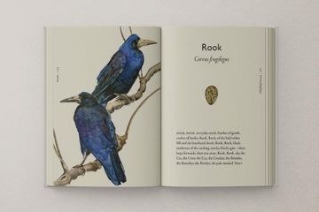 The Book of Birds: A Field Guide to Wonder and Loss
