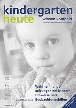 portada Wahrnehmungsstörungen bei Kindern - Hinweise und Beobachtungshilfen (en Alemán)