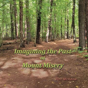 portada Imagining the Past at Mount Misery (en Inglés)