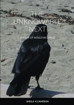 portada The Unknowable Next: A Book of Would be Lyrics (in English)