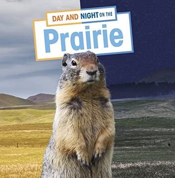 portada Day and Night on the Prairie (en Inglés)