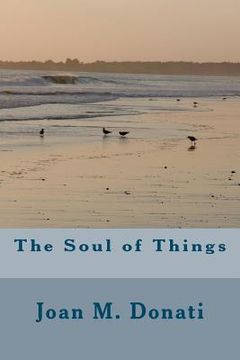 portada the soul of things (en Inglés)