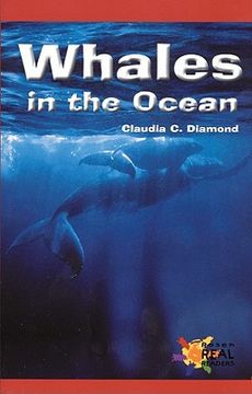 portada whales in the ocean (en Inglés)