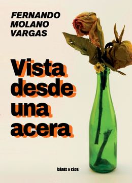 portada Vista Desde una Acera (in Spanish)