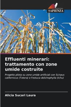 portada Effluenti minerari: trattamento con zone umide costruite (en Italiano)