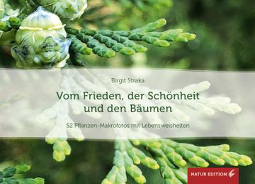 portada Vom Frieden, der Schoenheit und den Baeumen (Tischaufsteller) (en Alemán)