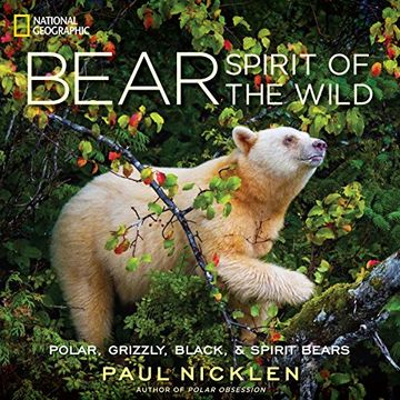 portada Bear: Spirit of the Wild (en Inglés)