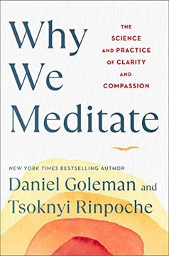 portada Why we Meditate: The Science and Practice of Clarity and Compassion (libro en Inglés)