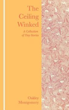 portada The Ceiling Winked: A Collection of Tiny Stories