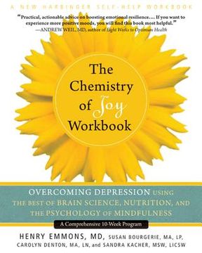 portada the chemistry of joy workbook