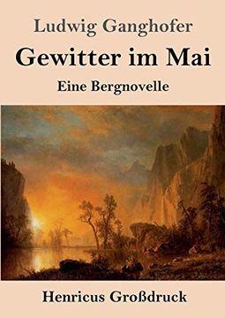 portada Gewitter im mai (Groã Druck): Eine Bergnovelle (in German)