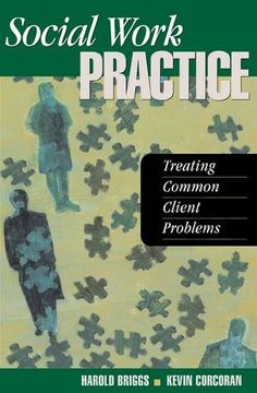 portada Social Work Practice: Treating Common Client Problems (en Inglés)