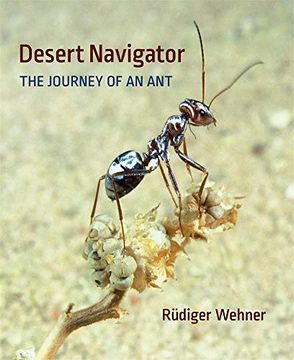 portada Desert Navigator: The Journey of an ant (en Inglés)