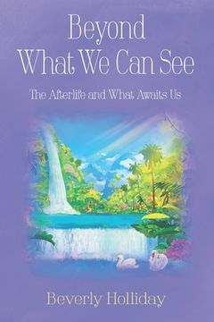 portada Beyond What We Can See: The Afterlife and What Awaits Us (en Inglés)