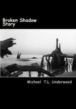 portada Broken Shadow (en Inglés)