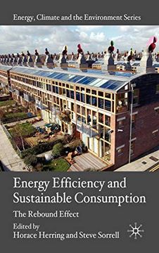 portada Energy Efficiency and Sustainable Consumption: The Rebound Effect (Energy, Climate and the Environment) (en Inglés)