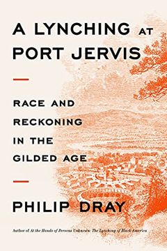 portada A Lynching at Port Jervis: Race and Reckoning in the Gilded age (en Inglés)