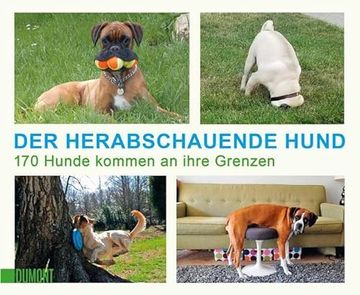 portada Der Herabschauende Hund: 170 Hunde Kommen an Ihre Grenzen ((Fast) Immer Lustig, Band 11) (en Alemán)