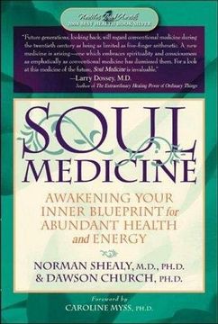 portada Soul Medicine: Awakening Your Inner Blueprint for Abundant Health and Energy 