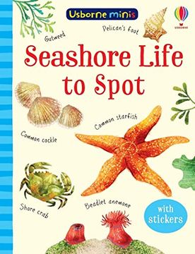 portada Seashore Life to Spot (Usborne Minis) (in English)