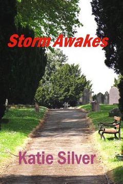 portada Storm Awakes: Storms Trilogy book 1