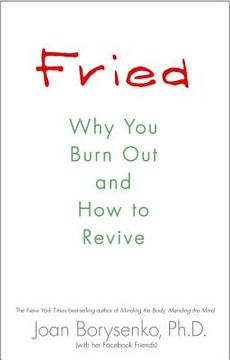 portada fried: why you burn out and how to revive (en Inglés)