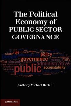 portada the political economy of public sector governance (en Inglés)