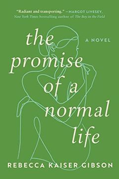 portada The Promise of a Normal Life: A Novel (in English)