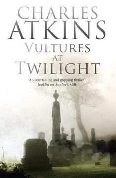 portada Vultures at Twilight: First in Series Featuring Lesbian Sleuths lil and ada (Lillian and ada Mystery) (in English)