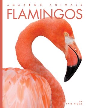 portada Flamingos