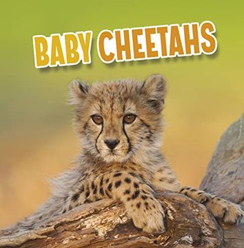 portada Baby Cheetahs (Baby Animals) (en Inglés)