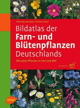 portada Bildatlas der Farn- und Blütenpflanzen Deutschlands (en Alemán)
