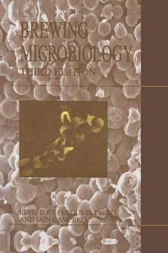 portada Brewing Microbiology (in English)