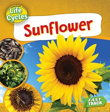 portada Sunflower (Life Cycles) (in English)